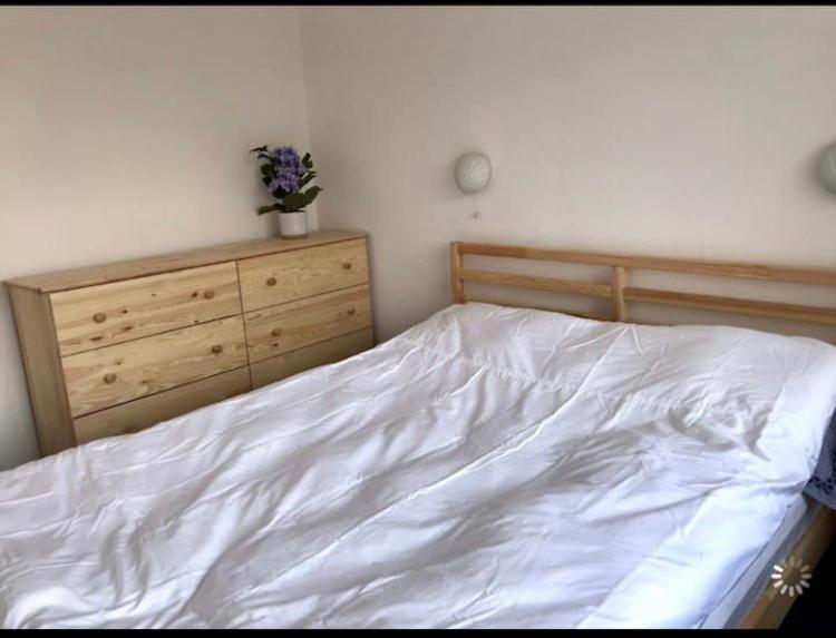 Great Price, Lovely Comfy Flat.2 Mins From The Sea ライム・レジス エクステリア 写真